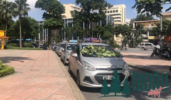 Taxi Chí Thành Quy Nhơn – Hãng taxi uy tín, giá tốt, phục vụ nhanh