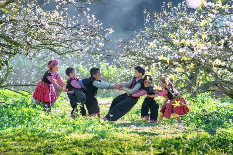 Tour Quy Nhơn – Mộc Châu – Khám phá cao nguyên chè và đồi hoa đẹp