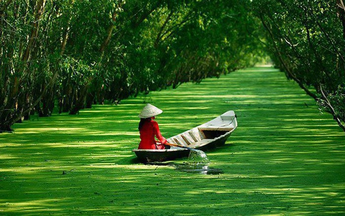 Tour Quy Nhơn – Miền Tây – Trải nghiệm chợ nổi, sông nước và ẩm thực