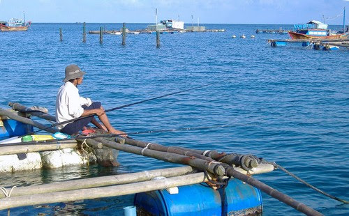 Câu cá Vũng Rô – Trải nghiệm thư giãn, thưởng thức hải sản tươi ngon